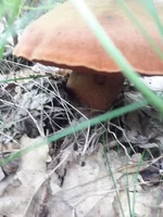 20190528_122455.webp