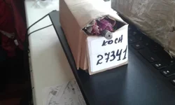20190530_170147.webp