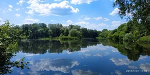 IMG_20190531_114032.webp