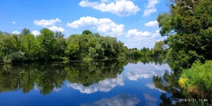 IMG_20190531_114049.webp