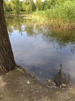 IMG_20190602_132625.webp
