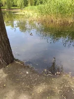 IMG_20190602_132612.webp