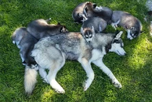 forum_min.webp