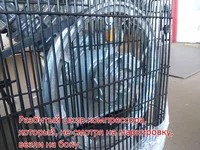 IMG_20190520_143400.webp
