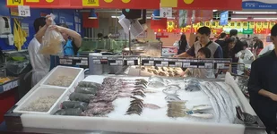 20190421_152409.webp