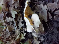 20190609_150215.webp