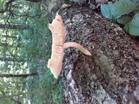 20190609_145829.webp