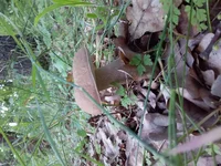 20190611_054916.webp