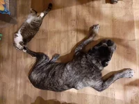 20190529_224746.webp