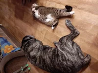 20190525_205600.webp