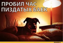 100352_600.png