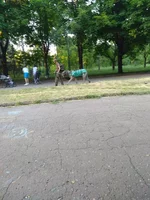 IMG_20190611_194306.webp