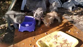 VID_20190612_172949.mp4_snapshot_00.07_[2019.06.12_20.02.38].webp