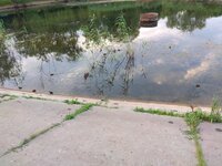 IMG_20190612_194152.jpg