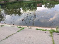 IMG_20190612_194152.webp