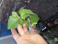 20190614_124935.webp