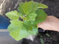 20190614_125051.webp