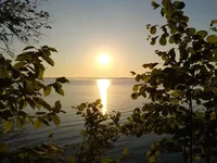 IMG_20190617_050851.webp