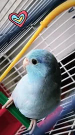 D04432B8-F094-4FAB-9E3C-D301F137108D.webp