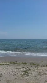 20190619_123917.webp