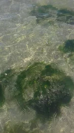 20190619_123959.webp