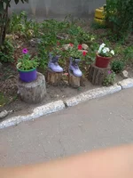 IMG_20190622_084002.webp