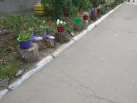 IMG_20190622_084024.webp