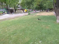 IMG_20190623_101747.jpg
