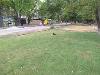 IMG_20190623_101755.jpg