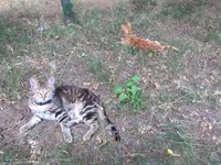 IMG_20190624_132434.webp