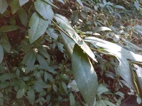 IMG_20190626_174514.jpg