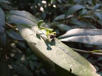 IMG_20190626_174556.webp