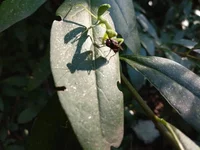 IMG_20190626_174541.webp