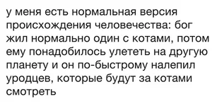 коты.jpg