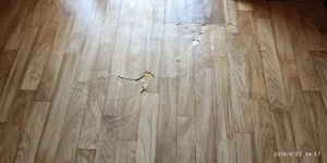 IMG_20190622_145706.webp