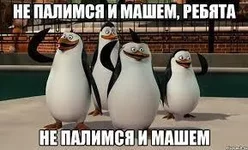 1481802411148873990.webp