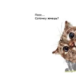 jWv6JHWpmH0.webp