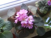 DSC00822.webp