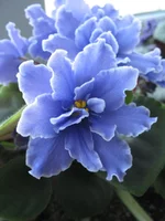 IMG_3247.webp