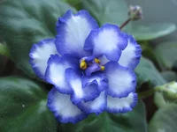 IMG_3249.webp