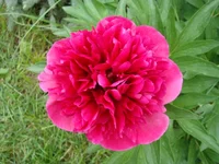 DSC02674.webp