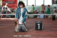 minishopvendetta.webp