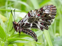 CRW_5429.webp