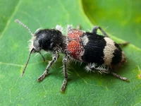 CRW_5629.jpg