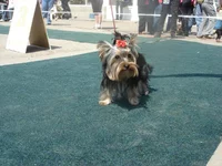 DSC00559.jpg