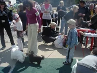 DSC00592.webp