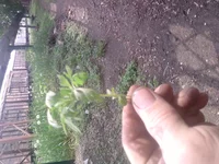 P120510_13.27.webp
