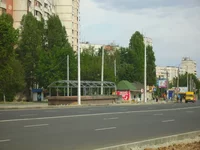 PICT9548.jpg