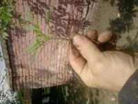 P120510_13.29.webp