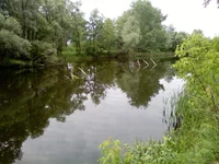PIC-0037.webp